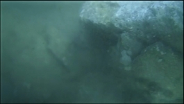 The Curse of Oak Island - Season 11 Episode 10